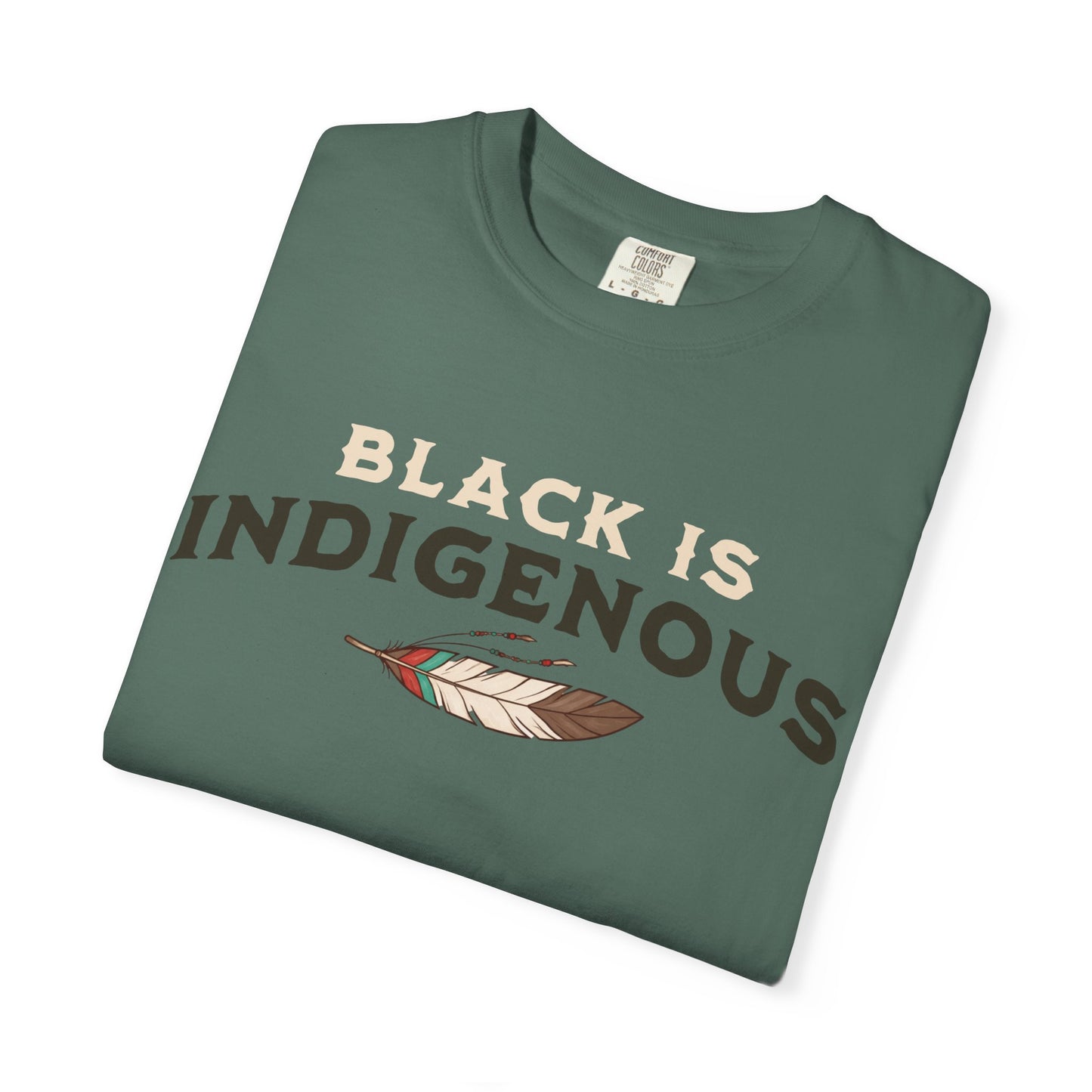 Black Is Indigenous Tee