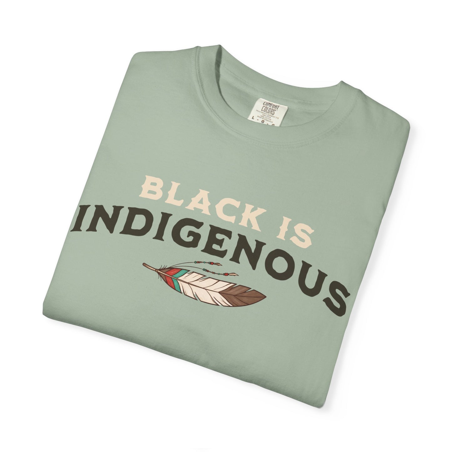 Black Is Indigenous Tee